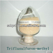 Triflulsulfuron-methyl 60% WDG